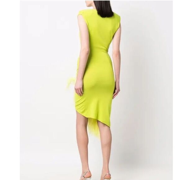 ANTONELLA RIZZA Eva Feather-Trim MIDI Dress Small - Picture 6 of 15